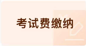 考试费缴纳